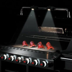 Weber Summit® S-670 Stainless Steel LP Grill -Courtyard Home Furnishings Store 021128 5