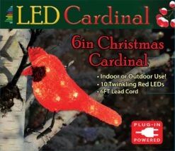 6" LED Cardinal Decoration With Clipped Feet -Courtyard Home Furnishings Store 04 21 GH CB AS JA 6in Cardinal ClippedFeet Plug