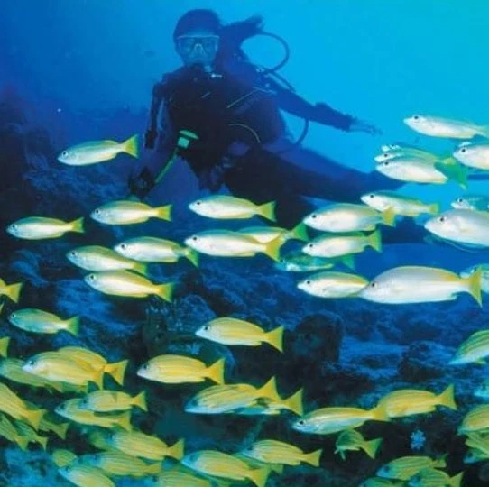 Sea Searcher Swim Mask & Snorkel Set 3 Sea Searcher Swim Mask & Snorkel Set - Image 3