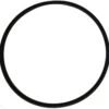 O-Ring For Pool Frog Above Ground Caps