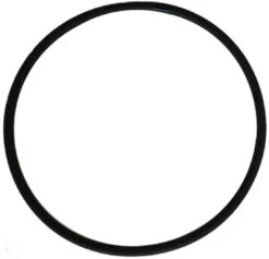 O-Ring For Pool Frog Above Ground Caps