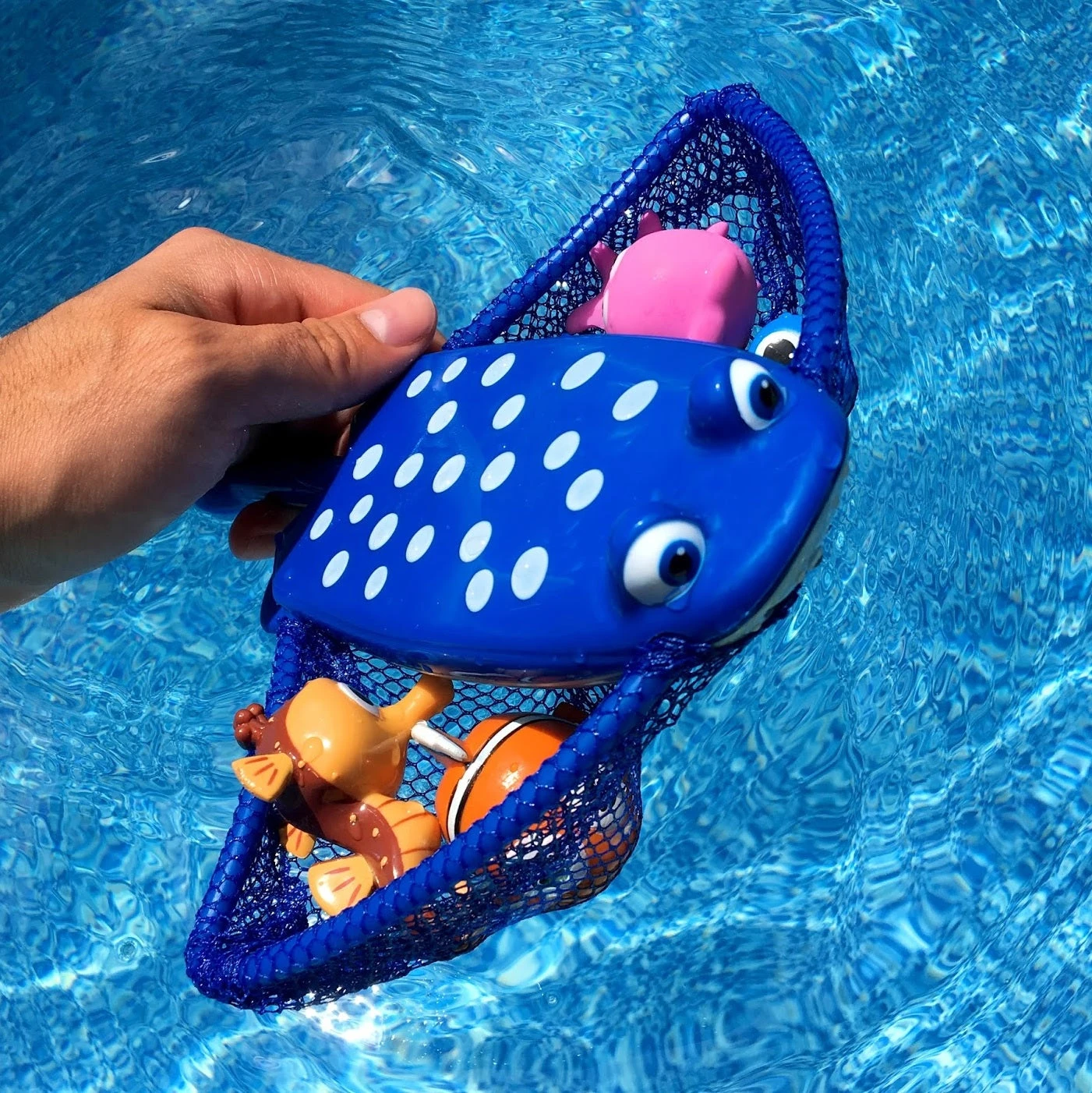 Disney Finding Dory Mr. Ray's Dive & Catch Pool Game 3 Disney Finding Dory Mr. Ray's Dive & Catch Pool Game - Image 3