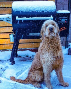 Traeger Ironwood 885 WiFi-Enabled Pellet Grill With Sensor -Courtyard Home Furnishings Store 093770 9