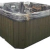 *art Artesian Spas 735B Deluxe Class South Seas Spas Portable Hot Tub