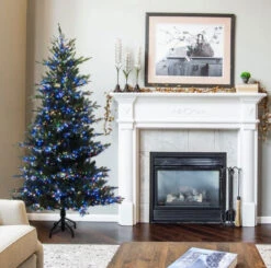 Set Of 250 LED Connectable Cluster Lights (6.5 Ft) 14 Set Of 250 LED Connectable Cluster Lights (6.5 Ft) -Courtyard Home Furnishings Store 095592 4