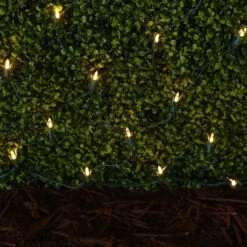 Set Of 100 Professional Grade Christmas LED Net Lights -Courtyard Home Furnishings Store 096725 2