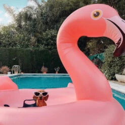 Inflatable Flamingo Pool Ride-On By Intex