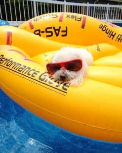 Swimline's Giant Inflatable Baseball Glove Pool Lounge -Courtyard Home Furnishings Store 189675 c58c7665 6e79 4a23 841b 64d113d38ff5