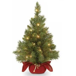 24" Majestic Fir Pre-Lit Potted Foyer Tree -Courtyard Home Furnishings Store 196673 2