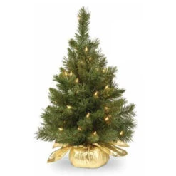 24" Majestic Fir Pre-Lit Potted Foyer Tree -Courtyard Home Furnishings Store 196673 3
