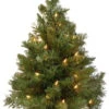 24" Majestic Fir Pre-Lit Potted Foyer Tree