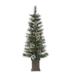 2-Piece 4' Windsor Glazier Pine Pre-Lit Artificial Foyer Trees -Courtyard Home Furnishings Store 227544 scaled