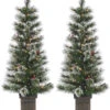 2-Piece 4' Windsor Glazier Pine Pre-Lit Artificial Foyer Trees