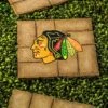 Team Sports America Chicago Blackhawks Decorative Garden Stepping Stone