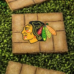 Team Sports America Chicago Blackhawks Decorative Garden Stepping Stone