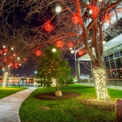 16" Twinkling LED Starburst Clusters 35 16" Twinkling LED Starburst Clusters -Courtyard Home Furnishings Store 3306d8e1b00f610f72240a603f4824a1 f78b915b fbf1 4c6e af7a 4c93fa139646