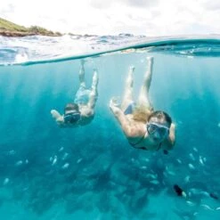 Intex Silicone Aqua Sport Masks