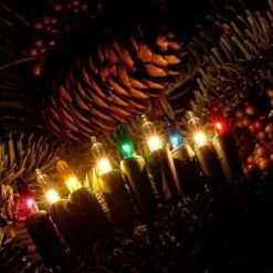 200 Traditional LED Mini Lights On A Reel By Sylvania -Courtyard Home Furnishings Store 40f36485aee5c05f5fb05292e74f2c75