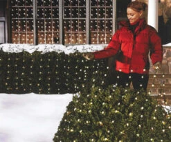 6' X 4' Holiday Wonderland Tangle-Free Net-Style Christmas Lights -Courtyard Home Furnishings Store 604413 2