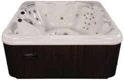 Artesian Spas 748L Deluxe Class South Seas Portable Hot Tub