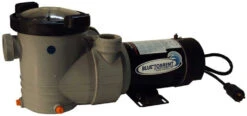 Blue Torrent Dual Port Above Ground Pool Pump
