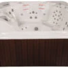 Artesian Spas 850B Deluxe Class South Seas Portable Hot Tub