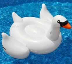 The Original Inflatable Swan Float By Swimline -Courtyard Home Furnishings Store 955591 2 361b8b38 2eff 4535 8cfe 2646ec1eb015