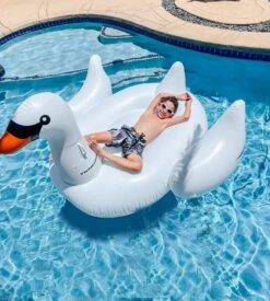 The Original Inflatable Swan Float By Swimline -Courtyard Home Furnishings Store 955591 2 df55ad1b feb4 489d 93c9 44491821a9e0