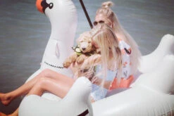 The Original Inflatable Swan Float By Swimline -Courtyard Home Furnishings Store 955591 3 d4427bbe 7e14 4288 a6ad ceacaee38cc8