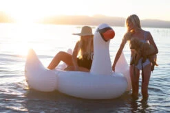 The Original Inflatable Swan Float By Swimline -Courtyard Home Furnishings Store 955591 5964747c e537 43cd 9df8 b36f554df5fd