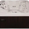 Artesian Spas 965L Deluxe Class South Seas Portable Hot Tub