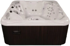Artesian Spas 965L Deluxe Class South Seas Portable Hot Tub