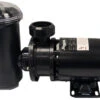 Raypak 3/4 HP Above Ground Pool Constant Speed Pump 110/115V