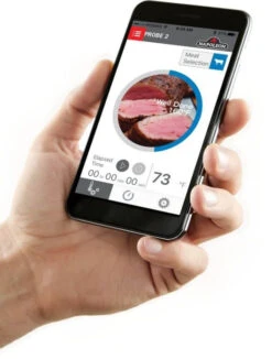 Napoleon 2-Piece Probe Set For ACCU-PROBE™ Bluetooth Thermometer -Courtyard Home Furnishings Store 989315 4