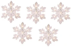 Set Of 5 Lighted Frosted Snowflake Lights -Courtyard Home Furnishings Store 989514 2