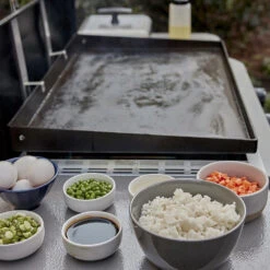 Weber 28" Griddle Liquid Propane Grill -Courtyard Home Furnishings Store 990099 24