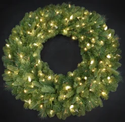 36" Winchester Pine Wreath Pre-Lit With C6 Designer Steady Lights -Courtyard Home Furnishings Store 992928 d02c1576 bffd 4c1b bf1b 1694e4a9156d scaled