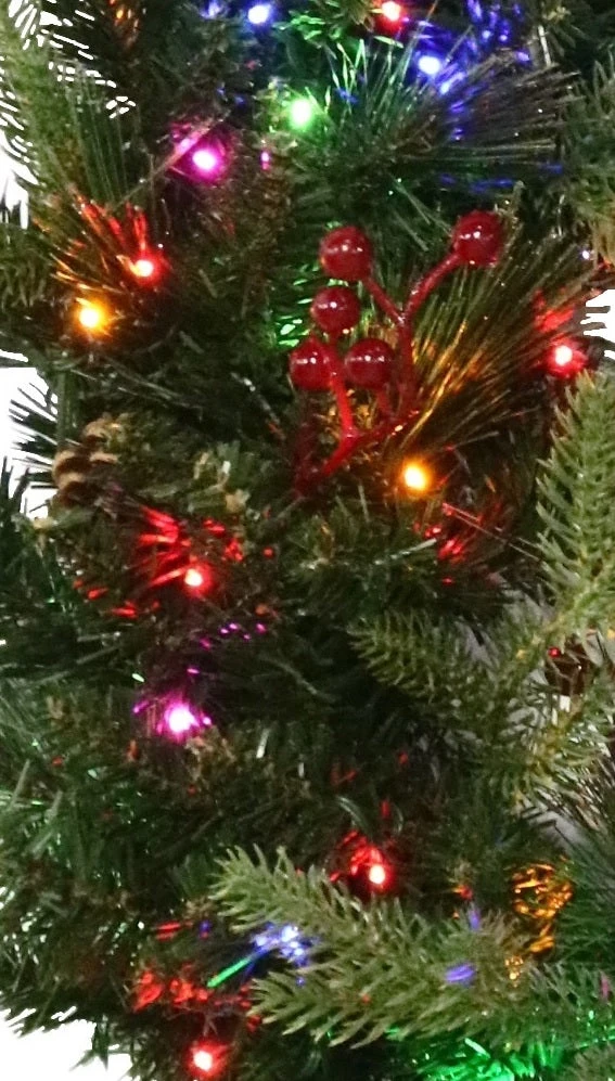 24" Norfolk Pine Wreath With 80 Battery-Operated Starry Lights 3 24" Norfolk Pine Wreath With 80 Battery-Operated Starry Lights - Image 3