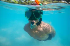 BWT Hydro-Pro™ Dive Mira Mask & Snorkel Set From Bestway 14 BWT Hydro-Pro™ Dive Mira Mask & Snorkel Set From Bestway -Courtyard Home Furnishings Store 995068 6 scaled