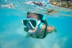 BWT Hydro-Pro™ Dive Mira Mask & Snorkel Set From Bestway -Courtyard Home Furnishings Store 995068 7