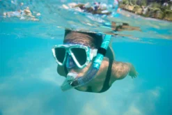 BWT Hydro-Pro™ Dive Mira Mask & Snorkel Set From Bestway 15 BWT Hydro-Pro™ Dive Mira Mask & Snorkel Set From Bestway -Courtyard Home Furnishings Store 995068 7 scaled