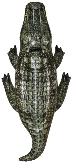 BWT Realistic Reptile™ Inflatable Pool Ride-On From Bestway 7 BWT Realistic Reptile™ Inflatable Pool Ride-On From Bestway -Courtyard Home Furnishings Store 995089 4