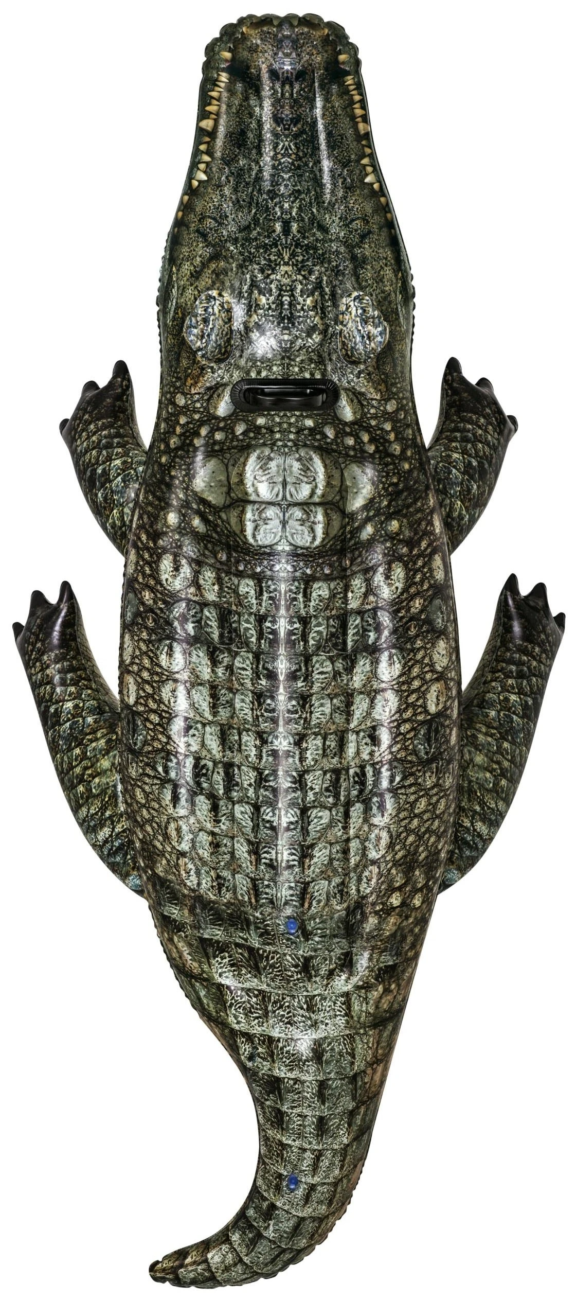 BWT Realistic Reptile™ Inflatable Pool Ride-On From Bestway 3 BWT Realistic Reptile™ Inflatable Pool Ride-On From Bestway - Image 3