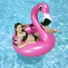 Poolmaster's 48" Flamingo Swim Tube