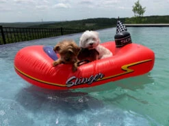 Swimline Kids Inflatable Stinger Speedboat Float -Courtyard Home Furnishings Store 996065 3 3ae98ebd 02f4 4990 8c0d 4beeccfb83c4