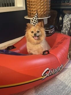 Swimline Kids Inflatable Stinger Speedboat Float -Courtyard Home Furnishings Store 996065 6