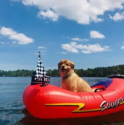 Swimline Kids Inflatable Stinger Speedboat Float