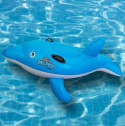 Blue Dolphin Ride-On By Swimline -Courtyard Home Furnishings Store 996068 2