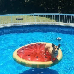 Swimline's 60" Inflatable Water Island -Courtyard Home Furnishings Store 996093 3 2b34a3b7 17d0 4e6f b72d 00c3fd00ec27