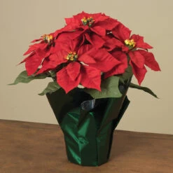 14" Potted Poinsettia In Foil Pot
